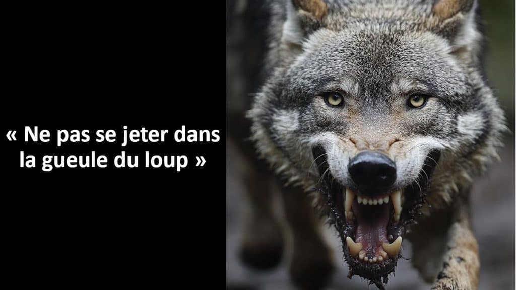 limites de l'IA dans le tourisme